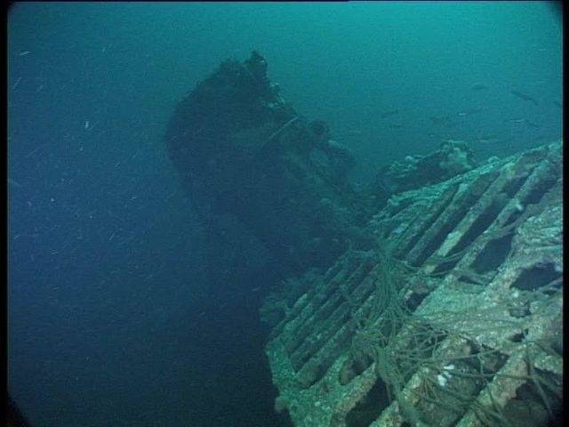 Conning tower recedes as the current blasts me down the wreck (Innes McCartney).