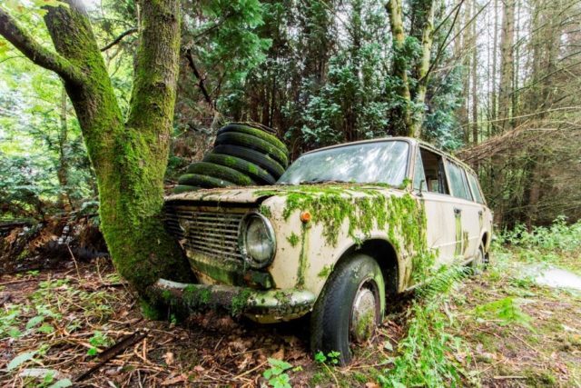 Abandoned mossy car eroding into the woods. Author: Jonk Photography