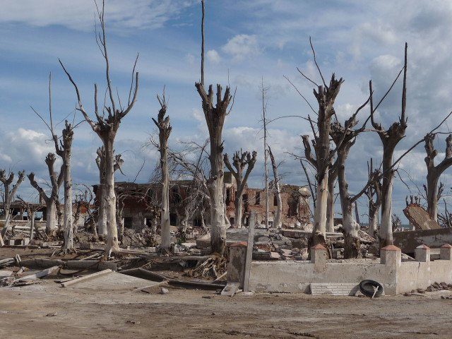 The dead trees, bleached due to the erosion from the salty water. Author: Marinka1946 CC BY-SA 3.0