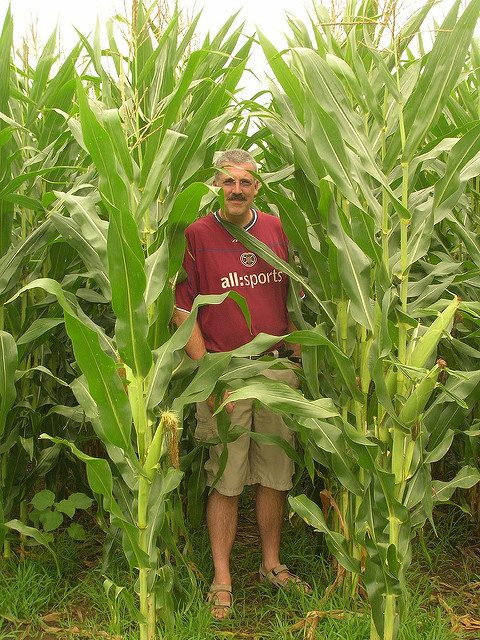 Visitor on the Field of Dreams. Author: Justin Brockie CC BY 2.0