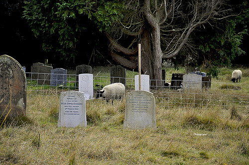 Suffolk Village 2009.Author:  Martin Pettitt CC BY 2.0