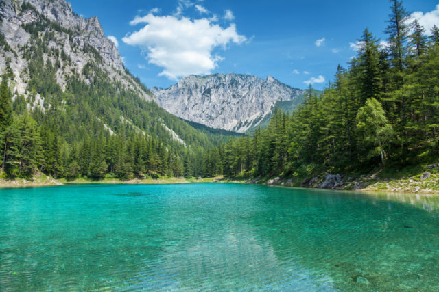 Grüner see with crystal clear water in Austrian Alps