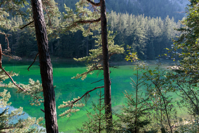 Grüner See in der Steiermark