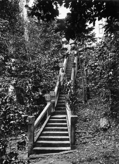 The Stairway, Paronella Park, c. 1935. Queensland State Archives.