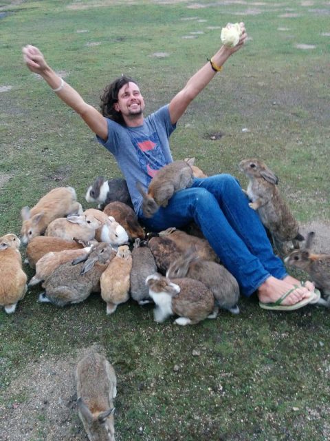 Ōkunoshima island has many tame feral rabbits. They will jump on you if you have food. Author: Jdlrobson CC BY-SA 4.0 