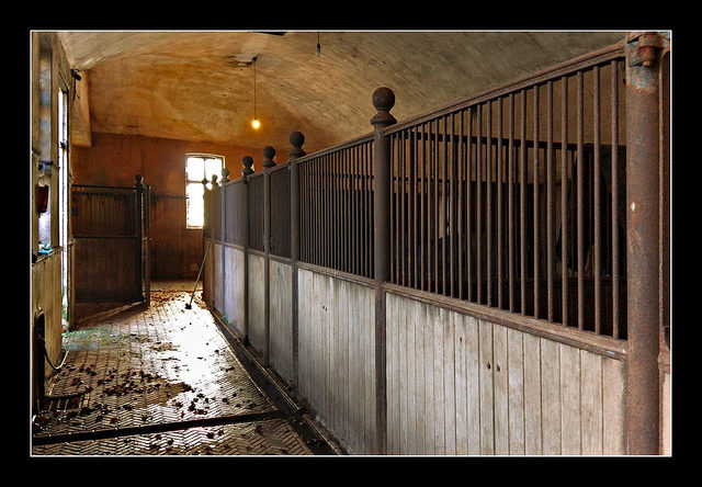 Horse stalls in the stables
