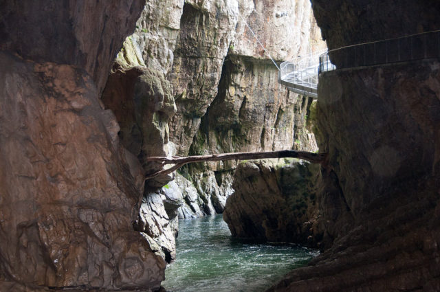 The caves occasionally flood and the Reka River carries trees. Author: Paul Asman and Jill Lenoble CC BY 2.0