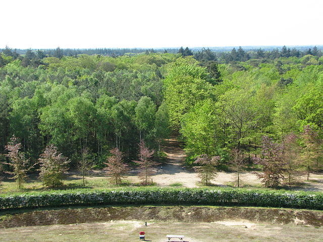 The panoramic view of the top of the pyramid hill Photo credit: K.vliet, CC BY-SA 4.0