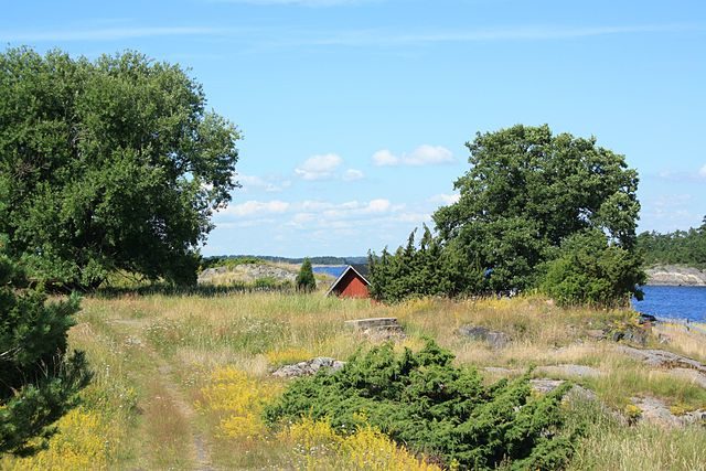 Meadow on Jussarö island, Ekenäs archipelago national park, Finland. Photo credit: Migro, CC0 1.0