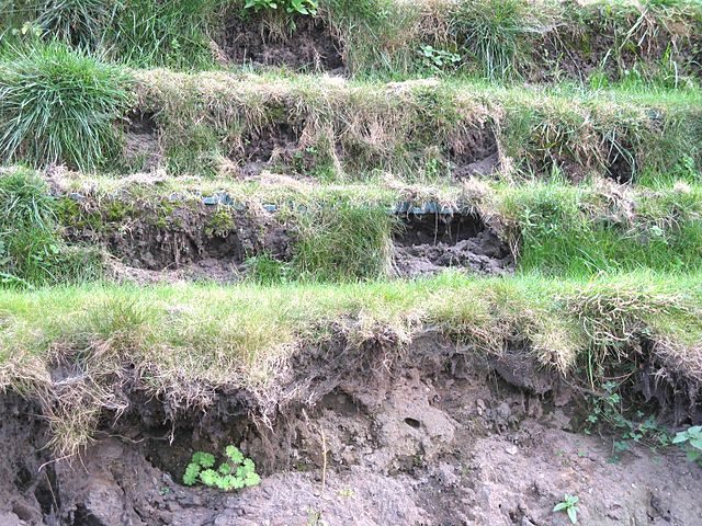 Pyramid of Austerlitz, erosion due to rain Photo credit: Ceinturion, CC BY-SA 3.0 