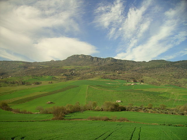 Sicilian landscape. Author: Adrian Valerius CC BY-SA 3.0