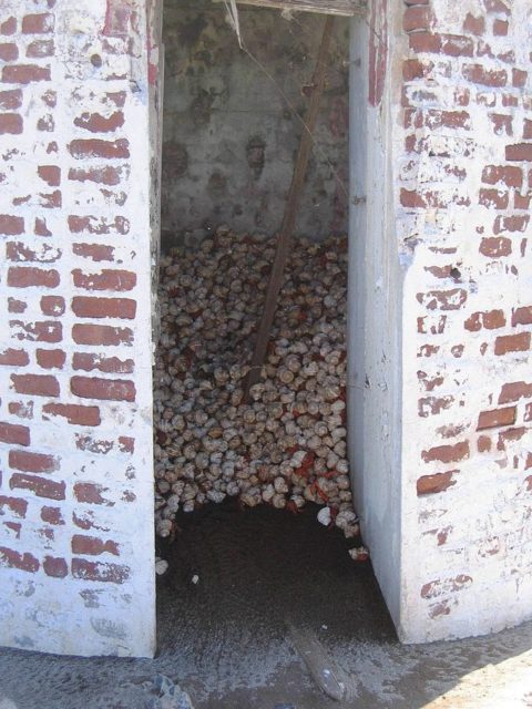 Hermit crabs taking shade in day beacon. Photo Credit: Joann94024, CC BY-SA 3.0