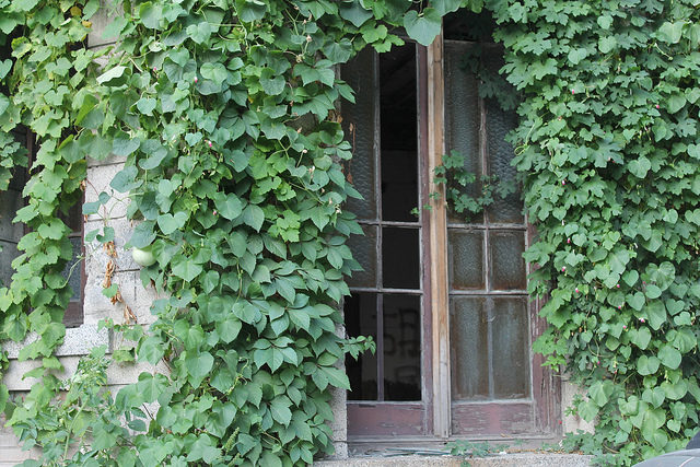 A window of the house.