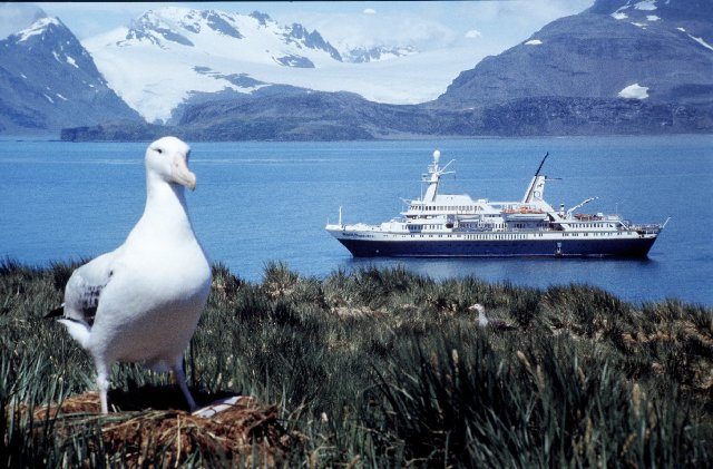 World Discoverer anchored in South Georgia. Photo Credit: Shakleton2, CC BY-SA 3.0