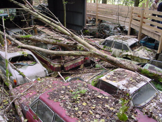 View of a rusty oldtimer in a forest, prior the vintage car auction in  Kaufdorf near Bern, Switzerland, Saturday, Sept. 19, 2009. Hundreds of  rusting vintage cars parked in an auto graveyard in the Swiss village of  Kaufdorf, south of Bern, are to be auctioned off