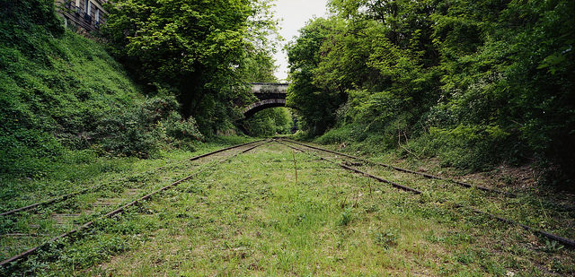 Chemin de fer de Petite Ceinture reclaimed by nature. Author: Thomas Claveirole CC BY-SA 2.0