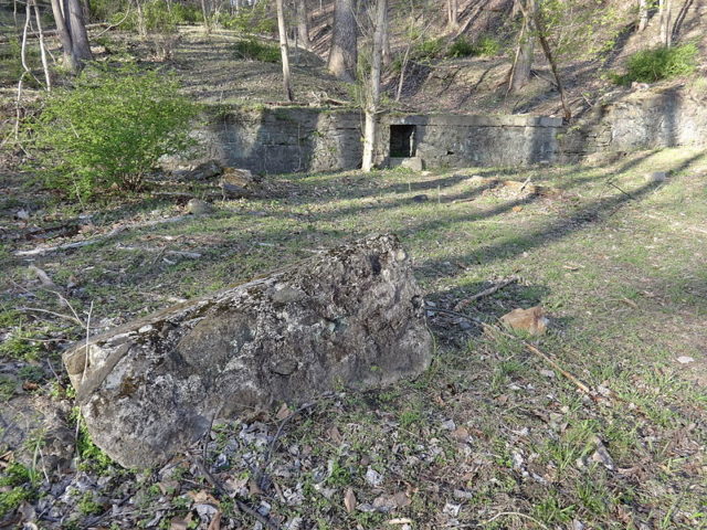 Ruins-at-daniels-maryland