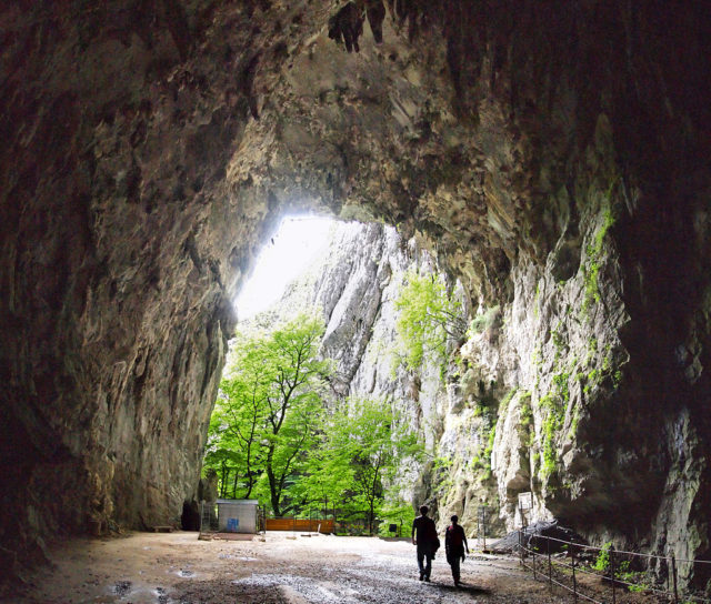 Škocjan Caves entrance. Author: Tiia Monto CC BY-SA 3.0
