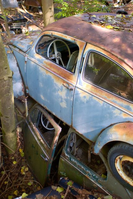View of a rusty oldtimer in a forest, prior the vintage car auction in  Kaufdorf near Bern, Switzerland, Saturday, Sept. 19, 2009. Hundreds of  rusting vintage cars parked in an auto graveyard in the Swiss village of  Kaufdorf, south of Bern, are to be auctioned off