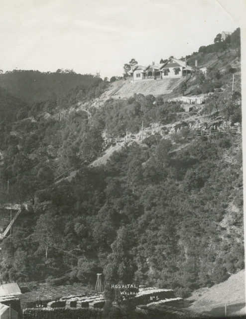 View of Walhalla, Victoria ca 1910 with hospital at top