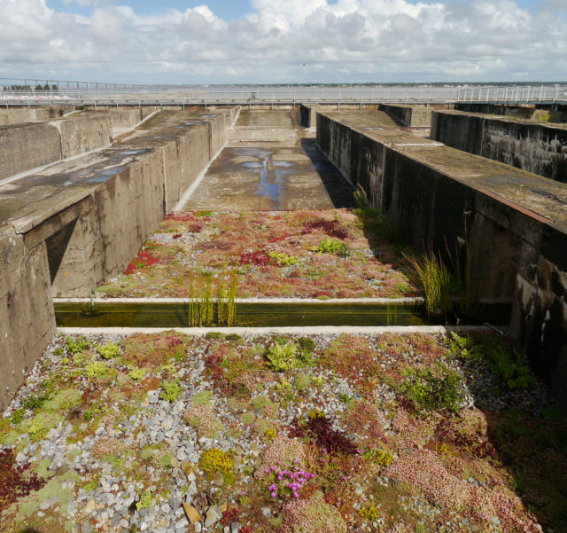 Gardens of beton – Groume – CC by 2.0