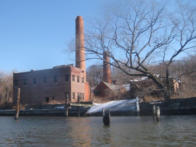 Abandoned Plant on the island. Author: Julie McCoy. CC BY-SA 4.0