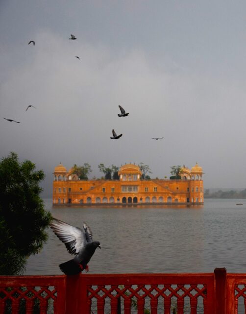 Birds flying around the Jal Mahal