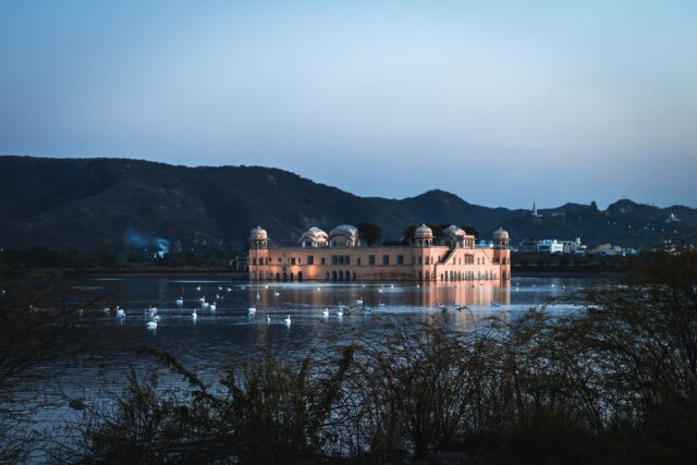 Water fowl wading around the Jal Mahal