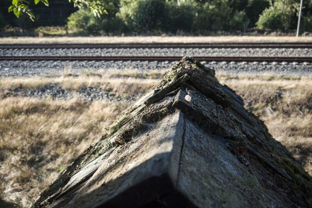 Tracks of the BNSF railroad just north of the ghost town of Lester, Washington. Author: BryonDavis. CC0