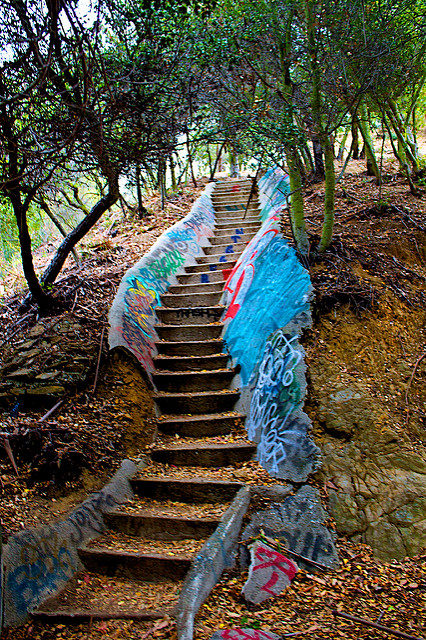 Part of the many stairs built around the compound. Author: mcflygoes88mph. CC BY-ND 2.0