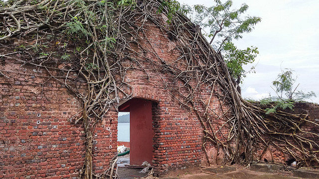 Walls covered with creepers. Author: Ankur P – CC BY-SA 2.0