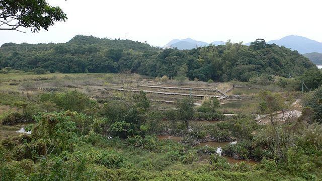 The abandoned salt farm in 2006/ Author: Isaac Wong (惡德神父) – CC BY-SA 3.0