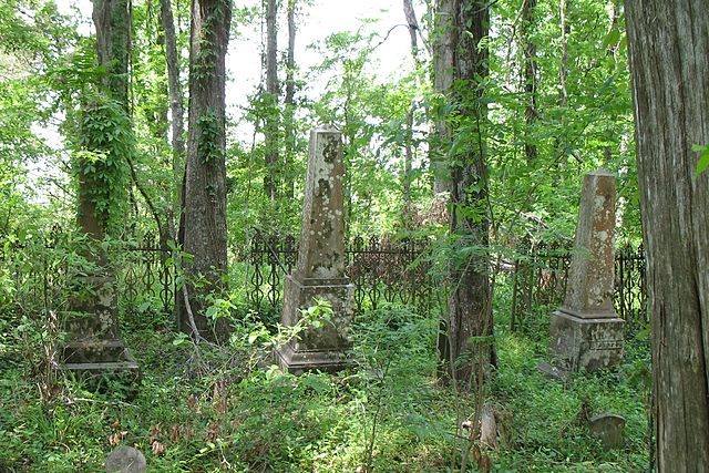 The cemetery overgrown with vegetation/ Author: NatalieMaynor – CC BY 2.0