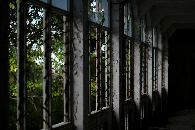 Daylight fighting through the branches. Author: Brian Jeffery Beggerly CC BY 2.0