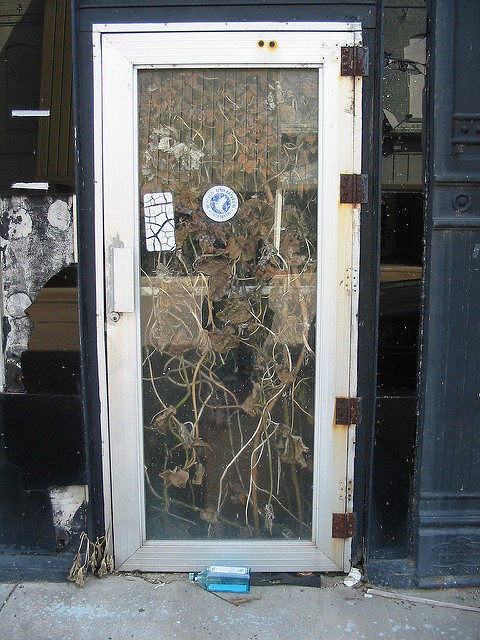 Abandoned shop. Author: hickory hardscrabble CC BY 2.0