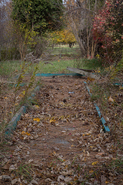 Barely visible remains of the park. Author: Michael R Stoller Jr CC BY-ND 2.0