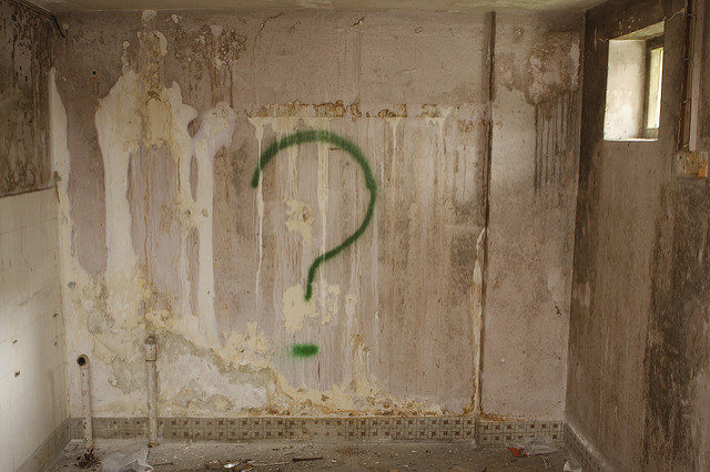 Even the graffiti artists wonder. Author: Brian Jeffery Beggerly CC BY 2.0