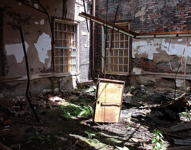 Vegetation has found its way inside the school. Author: Matthew Hester CC BY-ND 2.0