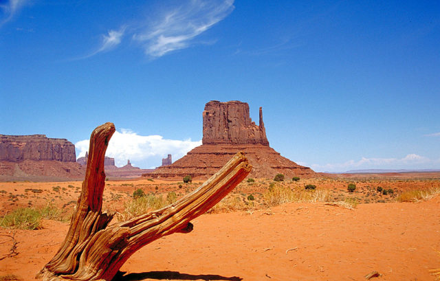 Monument Valley from the valley floor. Author: Huebi. CC BY 2.0 de