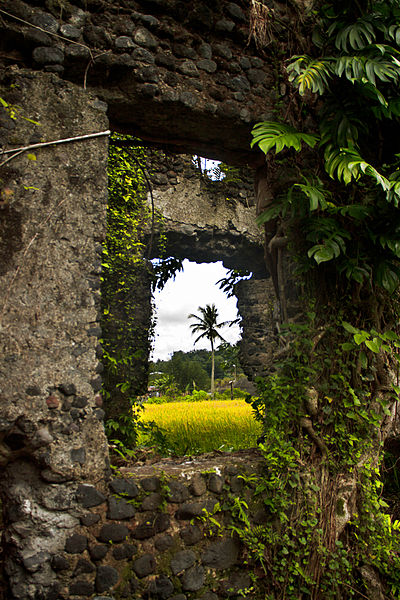 A look through the window.