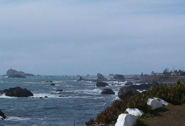 A treacherous part of the Pacific Ocean. Author: Ellin Beltz Public Domain