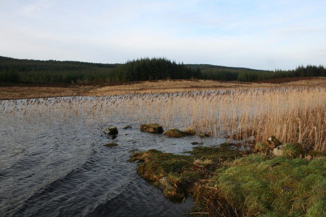 A few flat stones are all that remains of the jetty at Finlaggan/ Author: Andrew Wood – CC BY-SA 2.0