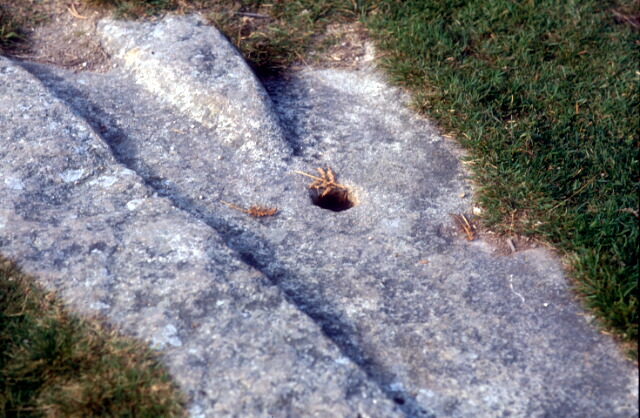 A granite switch. Author: Patrick GUEULLE CC BY-SA 2.0