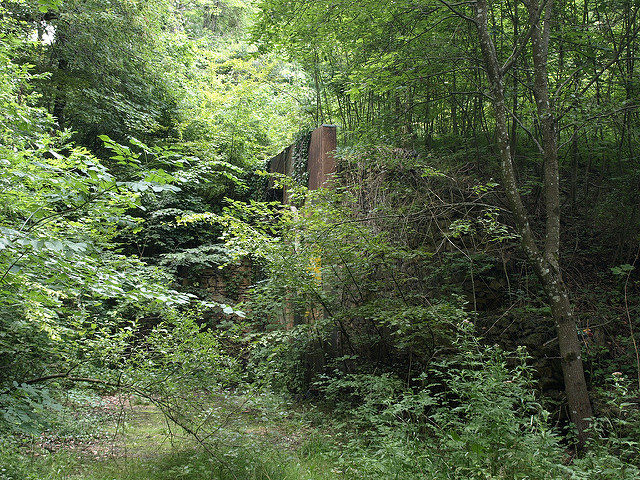 Overgrown remains from Ouvrage Rochonvillers. Author: Morten Jensen CC BY 2.0