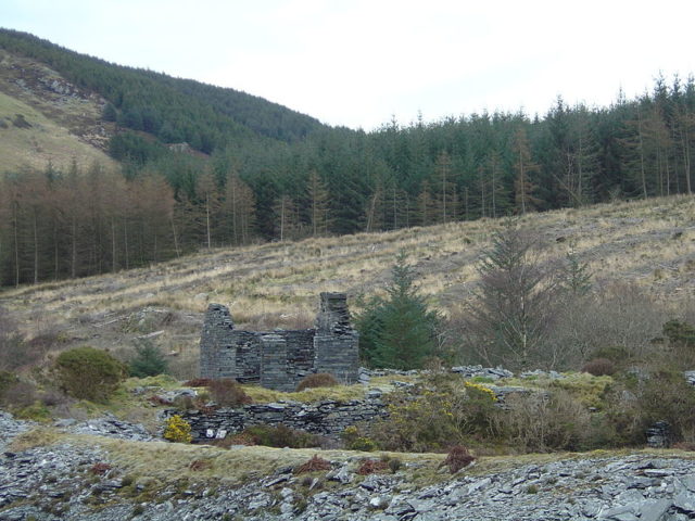 Some of the demolished buildings. Author: © Optimist on the run, 2008 / CC BY-SA 3.0