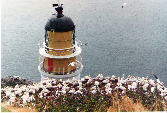 The Bass Rock Lighthouse. Author: Stanley Howe CC BY-SA 2.0