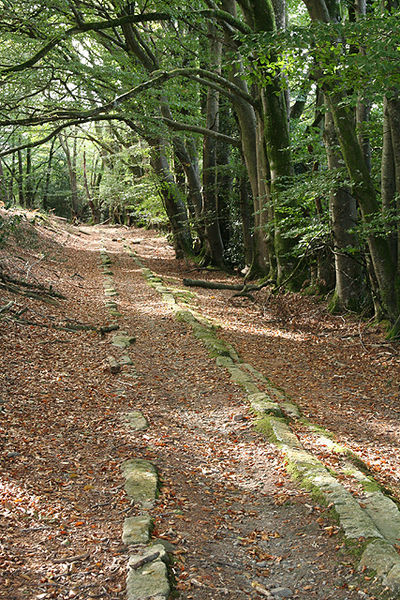 What is left of the tracks today. Author: Martin Bodman CC BY-SA 2.0