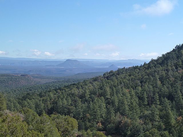 Another view of White Mountain Apache Reservation. Author: Chris English – CC BY-SA 3.0