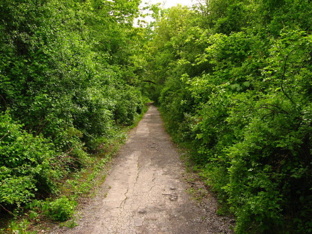 Pathway to the entrance. Author: Redwoodperch 