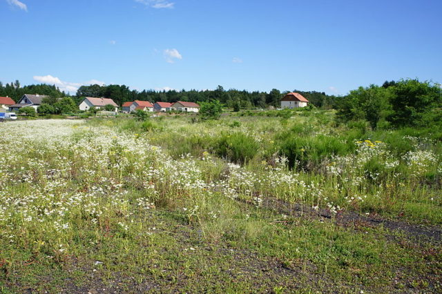 Where the slag heap was once located. Author: Bourgeois.A CC BY-SA 3.0